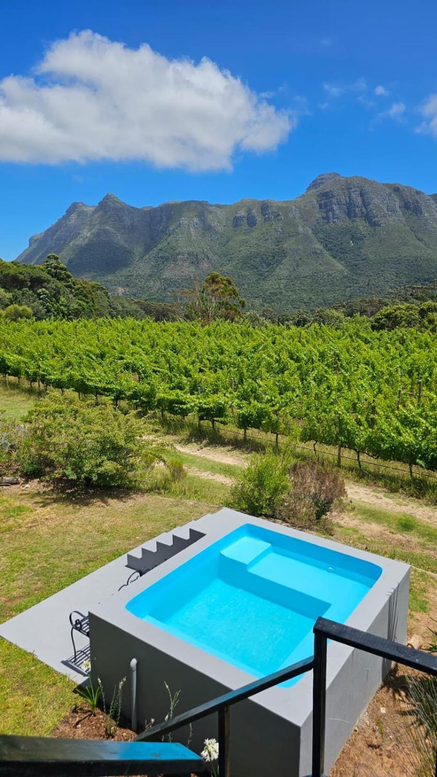 Bestplaceever - Luxury House With Vineyard Views