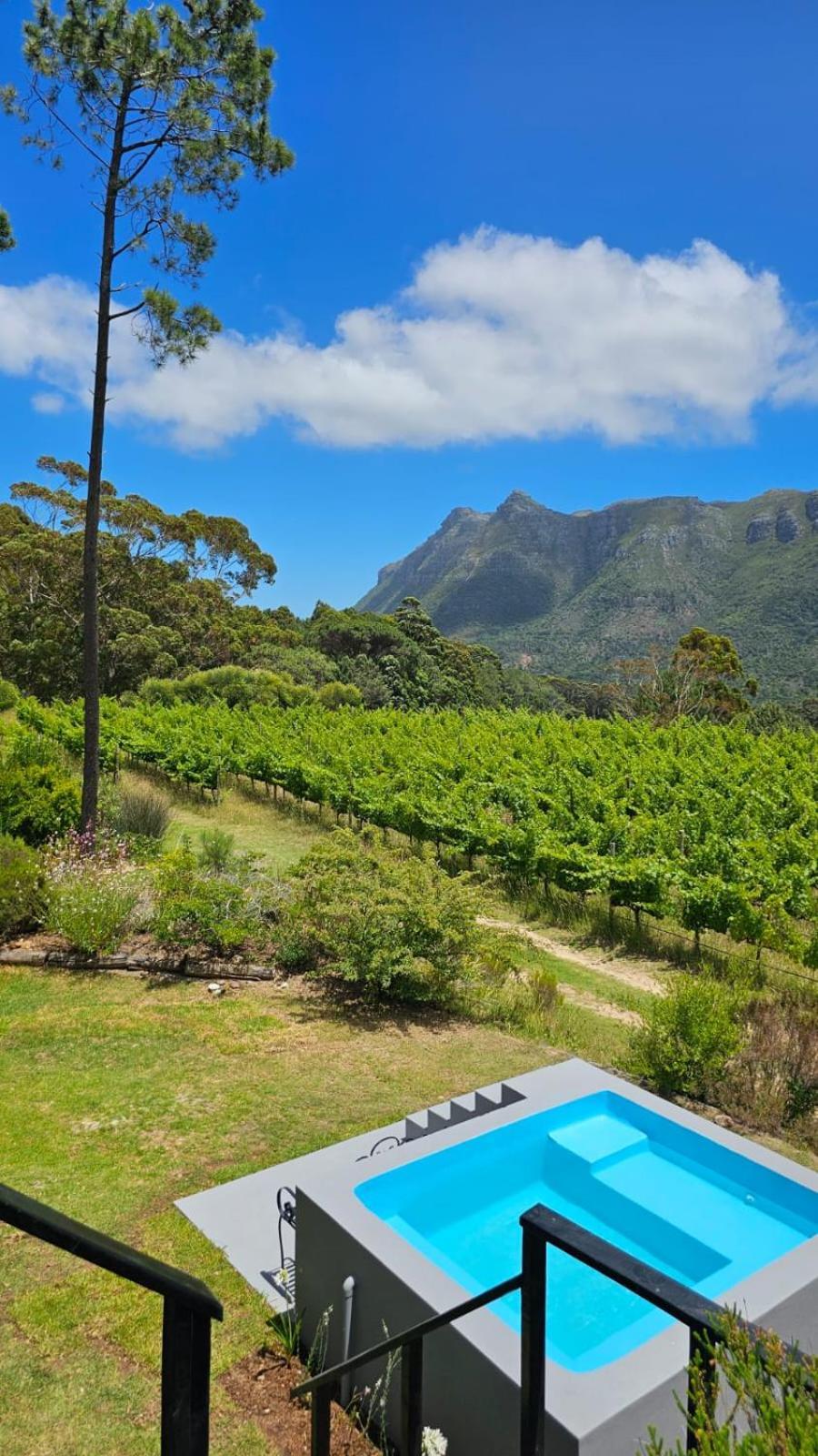 Bestplaceever - Luxury House With Vineyard Views Holiday home